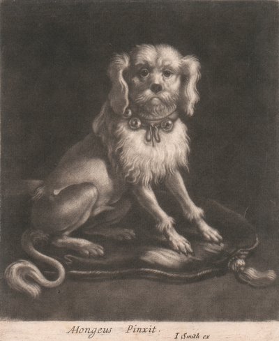ベル付きの首輪をつけた小型犬。 作： John Smith