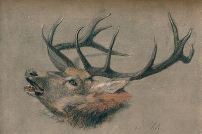 雄鹿の頭の習作」1901年頃 作： John Sydney Steel
