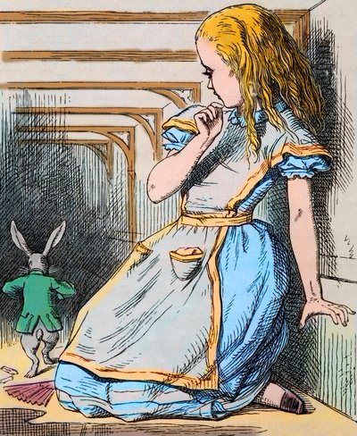 アリスと白うさぎ。ルイス・キャロルの「不思議の国のアリス」初版のジョン・テニエルによる挿絵（1865年） - ルイス・キャロルの物語「不思議の国のアリス」の挿絵（Charles Lutwidge Dodgson 作： John Tenniel