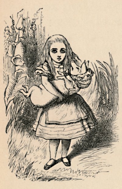 1889年に豚を腕に抱えたアリス 作： John Tenniel