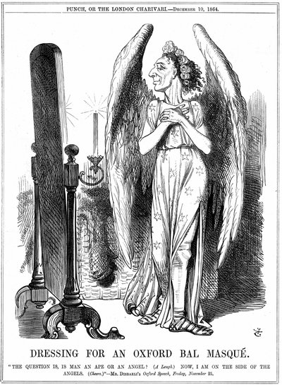 ベンジャミン・ディズレーリ（1804-81）英国保守派の政治家。今、私は天使の側にいる」。ジョン・テニエルの漫画（ロンドンの「パンチ」より 作： John Tenniel