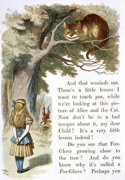 チェシャ猫 作： John Tenniel