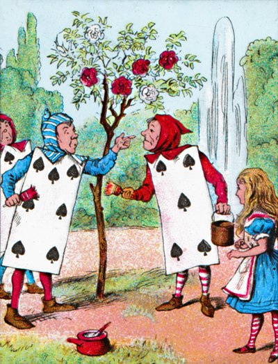 バラの茂みを描いたトランプ、c1910 作： John Tenniel