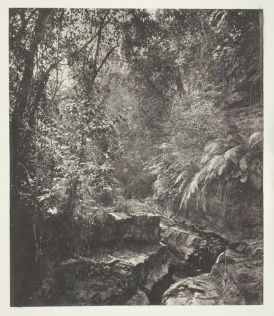 フォルモサの峠 作： John Thomson