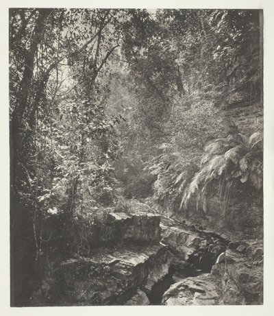 1868年頃のフォルモサの峠道。 作： John Thomson