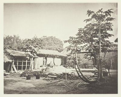 ペポホアの住居 作： John Thomson