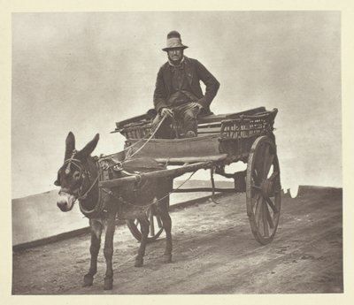 ブラック・ジャック 作： John Thomson