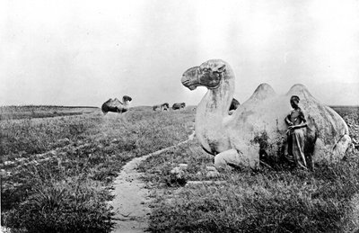 中国、皇道のラクダの彫刻、1870年頃（写真 作： John Thomson