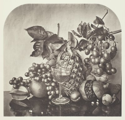 フルーツ 作： John Thomson