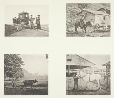 セダン」「軍人」「プラウ」「ノースチャイナポニー」 1868年頃 作： John Thomson