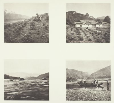 茶工場；茶工場；円平急流；小型急流船 作： John Thomson