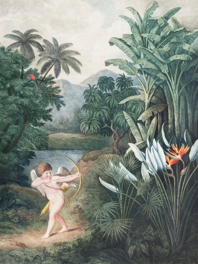『フローラの神殿からの愛――キューピッドが植物に愛を吹き込む』（1807年） ロバート・ジョン・ソーントン作 作： John Thornton