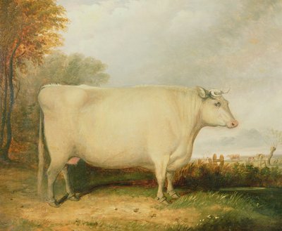 賞牛の肖像画 作： John Vine