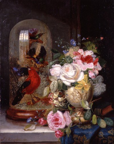 ガラスケースに入ったエキゾチックな鳥を横目に、花瓶に入った薔薇のある静物画 作： John Wainwright