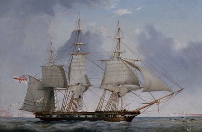 右舷鋲の 5 等艦 36 門フリゲート艦ホーヴトゥ (パネルに油彩) 作： John Ward of Hull