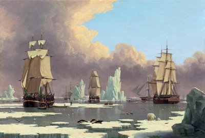 北クジラ漁業：白鳥とイザベラc。 1840 作： John Ward of Hull