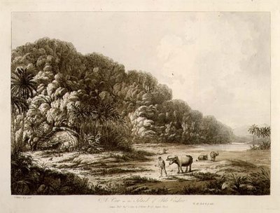 プーロ・コンドル島の眺め（『南洋の眺望』より）、パブ。1792年（銅版画） 作： John Webber