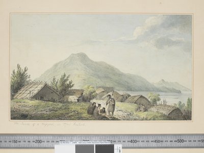 F.2 「ニューゼーランド島のヒッパの体内」 1773-84年頃 （水彩画と版画 作： John Webber