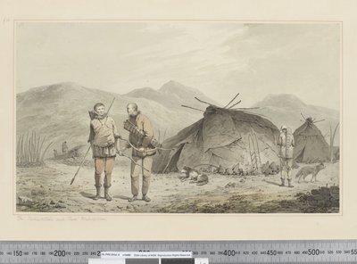 F.31 「ツクツクボウシとその居住地」 1773-84年頃 （水彩画 作： John Webber