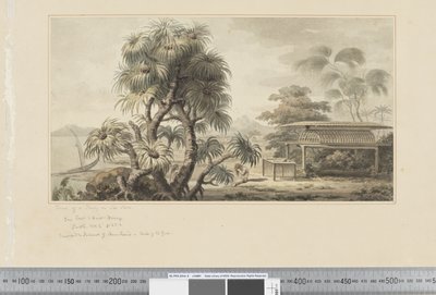 F.46 「海辺の墓の眺め」 1783-84年頃 （水彩画 作： John Webber