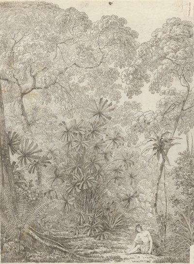 A palma do leque de Krakatoa 作： John Webber