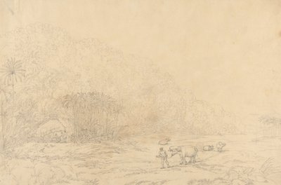 Vista na Ilha de Pulo Condor 作： John Webber