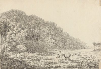 プロ コンドル島の景色 作： John Webber