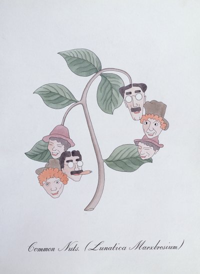 一般的なナッツ。 (Lunatica Marxbrosium)、John Weir 作「The Bogus Book of Botany」の挿絵 作： John Weir