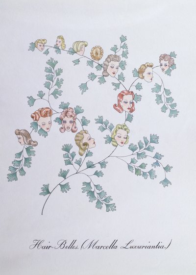 ジョン・ウィアー作「The Bogus Book of Botany」の挿絵、Hair-Belles (Marcella Luxuriantia) 作： John Weir