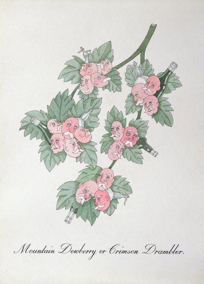 マウンテン デューベリーまたはクリムゾン ドランブラー、ジョン ウィアー作「The Bogus Book of Botany」の挿絵 作： John Weir