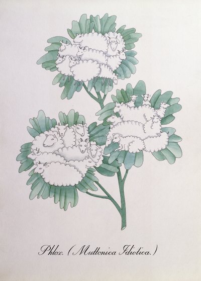 フロックス。 (Muttonica Idiotica)、John Weir 作「The Bogus Book of Botany」の挿絵 作： John Weir
