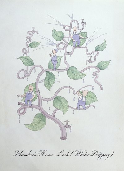 配管工の家ネギ (ウォーター ドリッパー)、ジョン ウィアーによる「The Bogus Book of Botany」のイラスト 作： John Weir