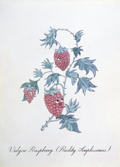 下品なラズベリー (Rudity Simplissimus)、John Weir 作「The Bogus Book of Botany」の挿絵 作： John Weir