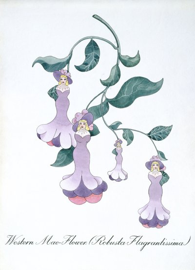 西洋マエの花 (Robusta Flagrantissima)、John Weir 作「The Bogus Book of Botany」の挿絵 作： John Weir