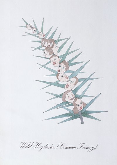 野生のヒステリー (Common Frenzy.)、John Weir 作「The Bogus Book of Botany」の挿絵 作： John Weir