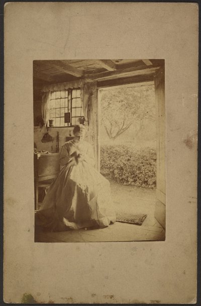 [ストライプのロングドレスを着た女性が部屋の中に座っている] 作： John Whistler