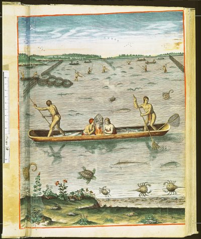 セオドア・ド・ブリー（1528-98）1590によって刻まれた「アドミランダナラティオ...」からのインディアンの魚の捕獲方法（110123および111664も参照） 作： John White