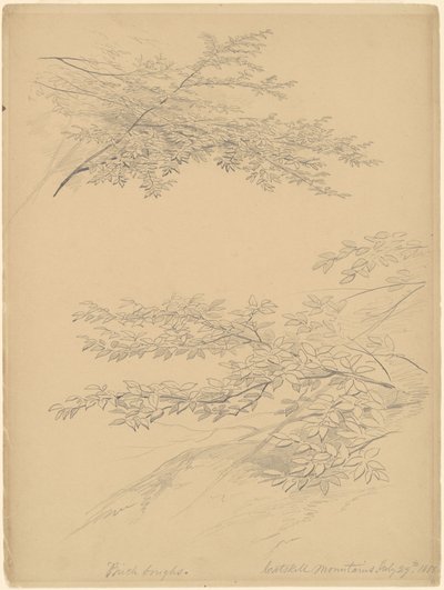 白樺の枝、キャッツキル山脈 作： John William Casilear