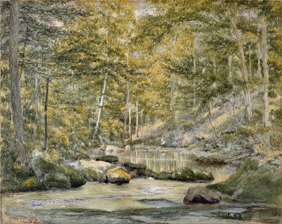 男性釣りのあるウッドランドプール、1870年（紙にトイレ） 作： John William Hill