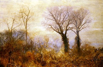 冬の無駄遣いが惜しかったとき 作： John William North