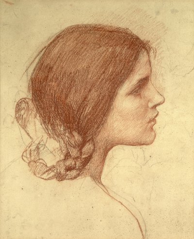 少女の頭、1905年頃（紙に赤いチョーク） 作： John William Waterhouse