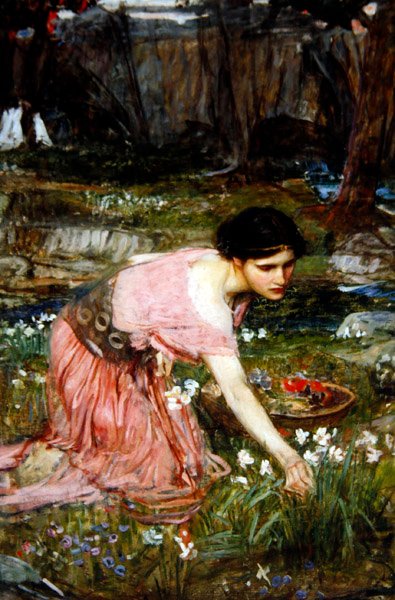 小川のほとりで花を摘む乙女たち」 1911年頃 （油彩・キャンバス） 作： John William Waterhouse