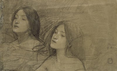 「ハイラスとニンフ」の2つのニンフの研究 作： John William Waterhouse