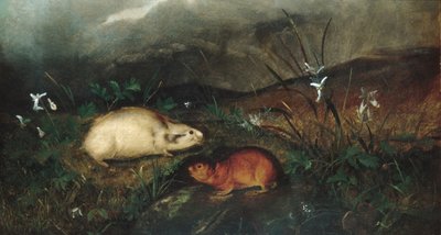 ハドソンズベイレミング、1846年。 作： John Woodhouse Audubon