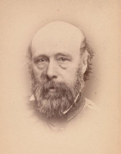 ポール・ファルコナー・プール、1860年代。 作： John and Charles Watkins