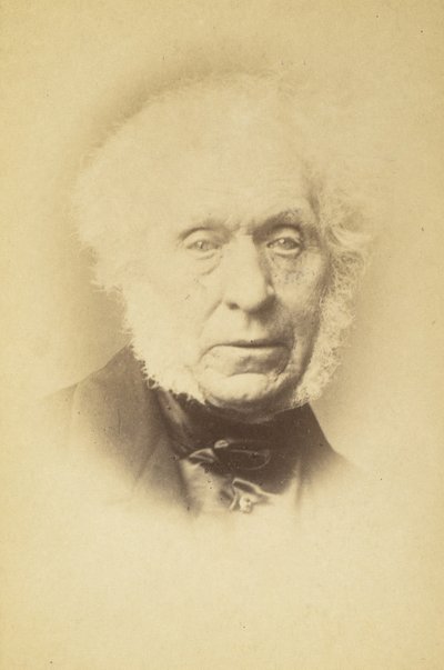 [デビッド ブリュースター卿]、1860 年代。 作： John and Charles Watkins