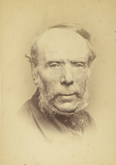 トーマス・シドニー・クーパー、1860年代。 作： John and Charles Watkins