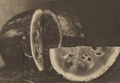 スイカを切る男、1898～1903年。 作： Johnson
