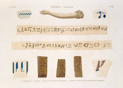 チャールズによって刻まれた「エジプトの説明」のII巻のテベ、ハイポギーズのプレート48、象形文字とミイラの腕のイラスト、1822年（アクアチント） 作： Jomard