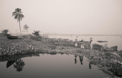 2016年、コルカタでの湿地漁（写真） 作： Jon Nicholson